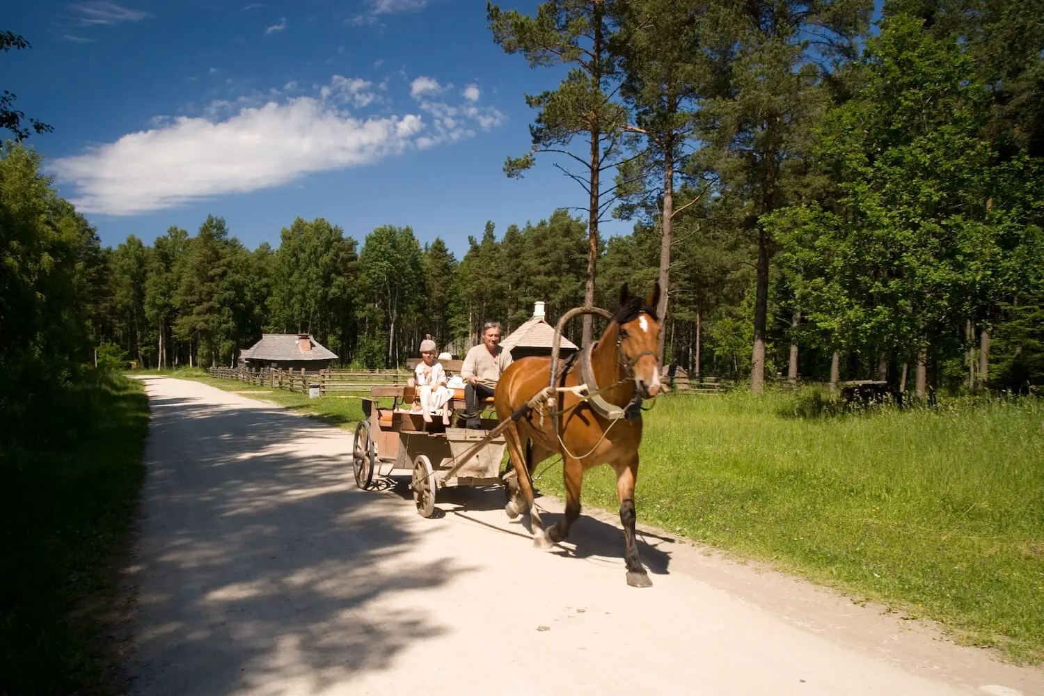 Estonian Open Air Museum - tickets, hours, prices
