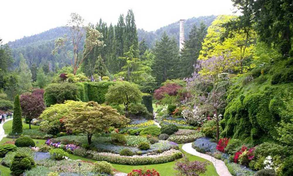 Kyiv Botanical Garden