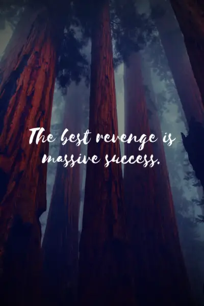 25 Best Motivational Quotes Ever - museuly