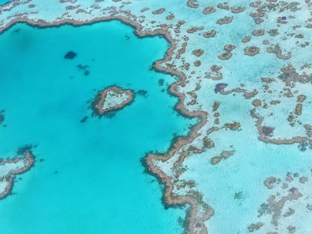 The Great Barrier Reef (Queensland, Australia)